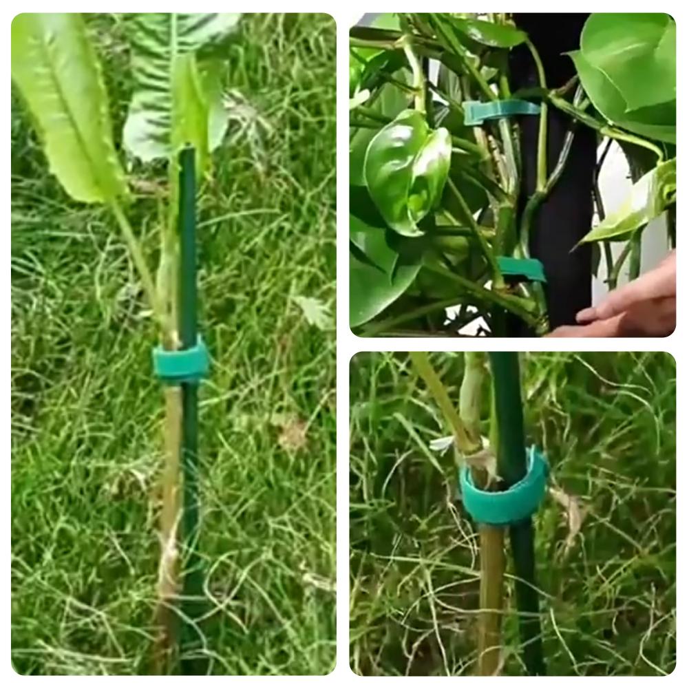 100 шт. многоразовых регулируе – обзор и цена Velcro Hook Loop